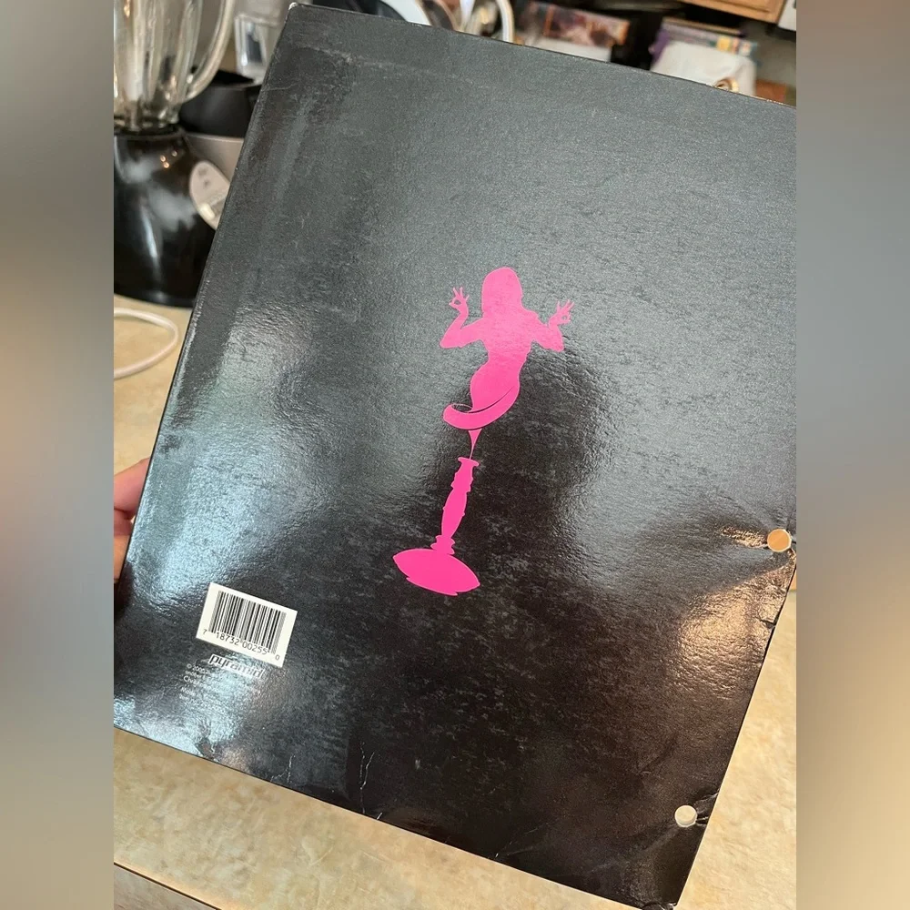 Christina Aguilera Vintage School Supplies